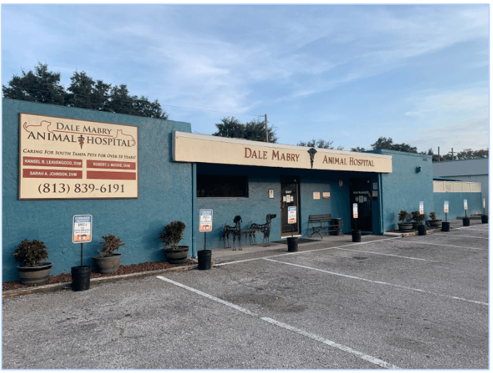 Dale clearance veterinary clinic